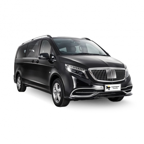 Mercedes vito maybach (1-3) person